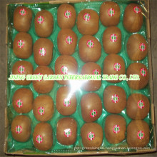 New Crop High Quality Fresh Kiwi Fruit